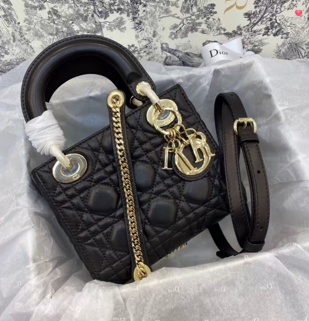 ✨Mini Dior Bag✨